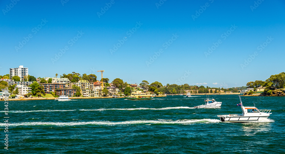 Yachts in Sydney Harbour as seen from Barangaroo Reserve Park