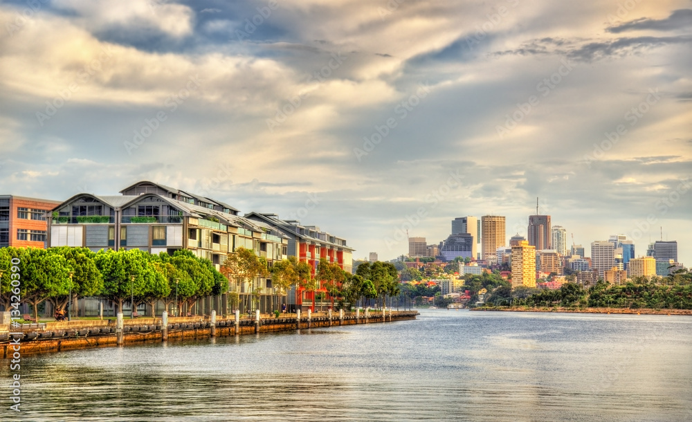 View of Pyrmont Bay in Sydney, Australia