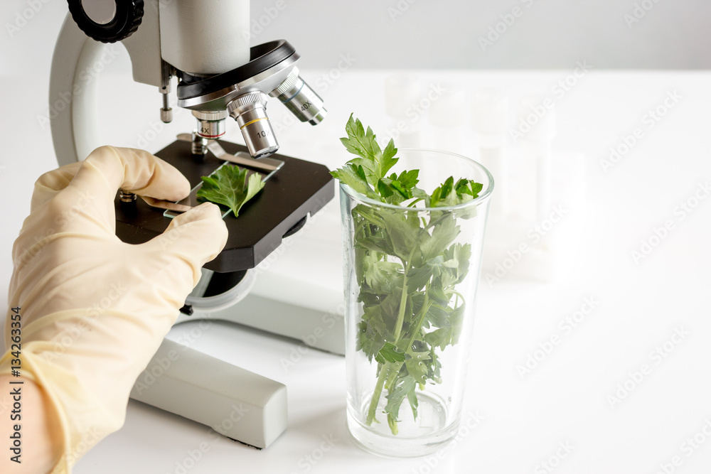 concept - check dietary supplements in laboratory on microscope