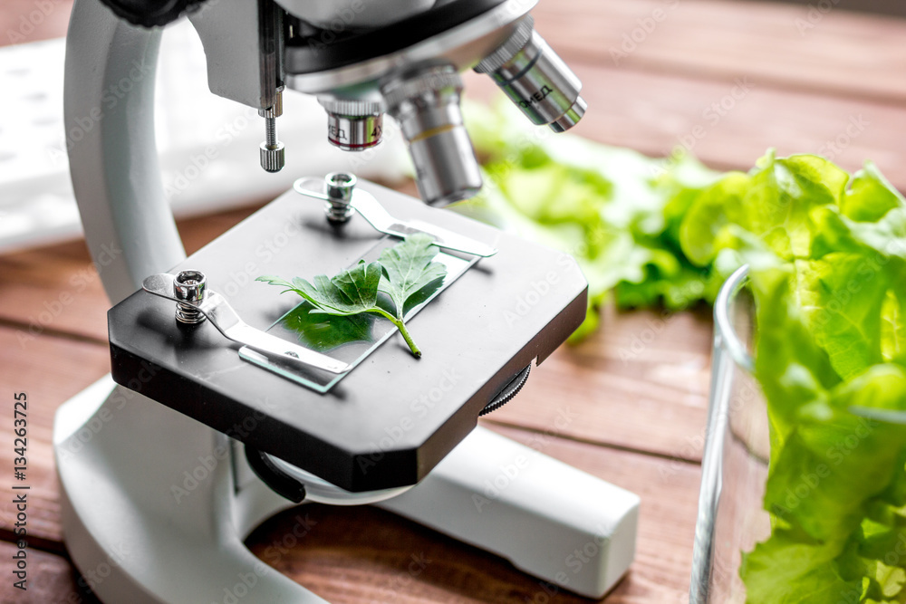 concept healthy food inspection herbs in laboratory