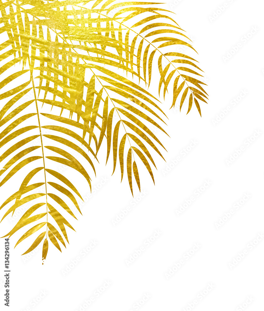 Beautifil Palm Tree Leaf  Silhouette Background Vector Illustrat