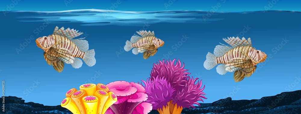 Underwater scene with lionfish