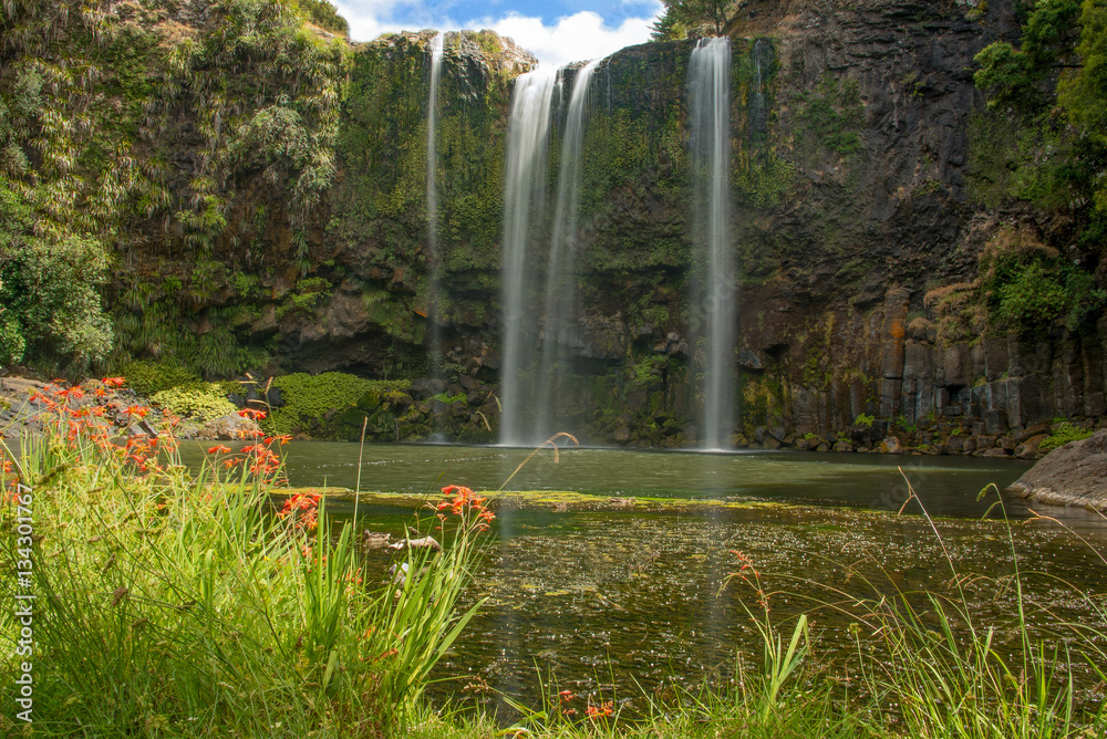 Beautifull waterfall landscape in the bush near Whangarei, New Zealand