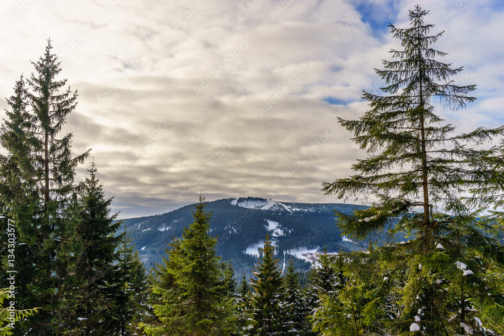 Wälder und Berge im Winter