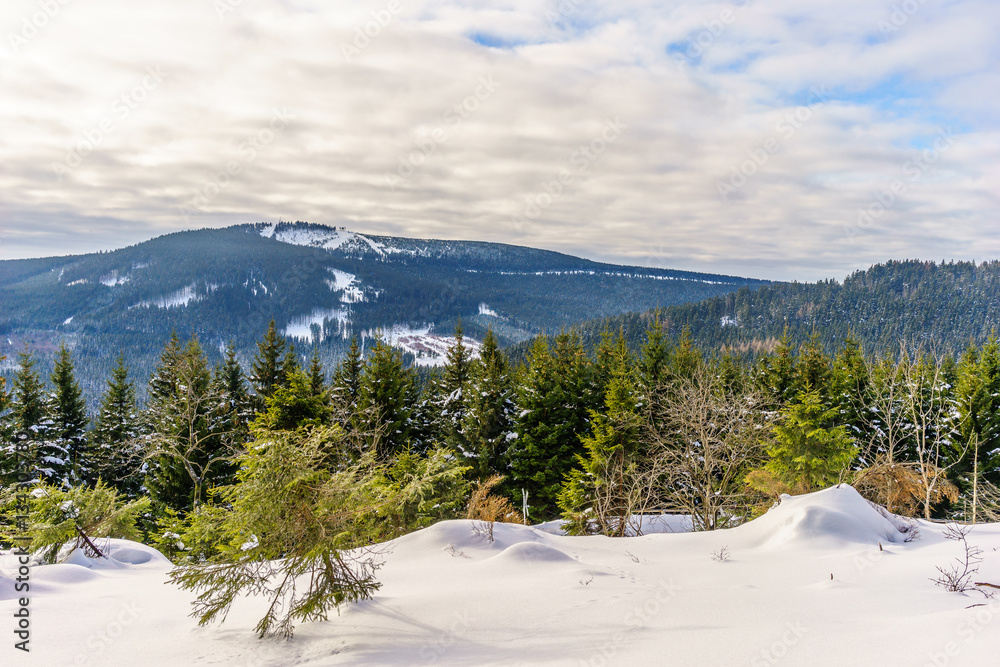 Wälder und Berge im Winter