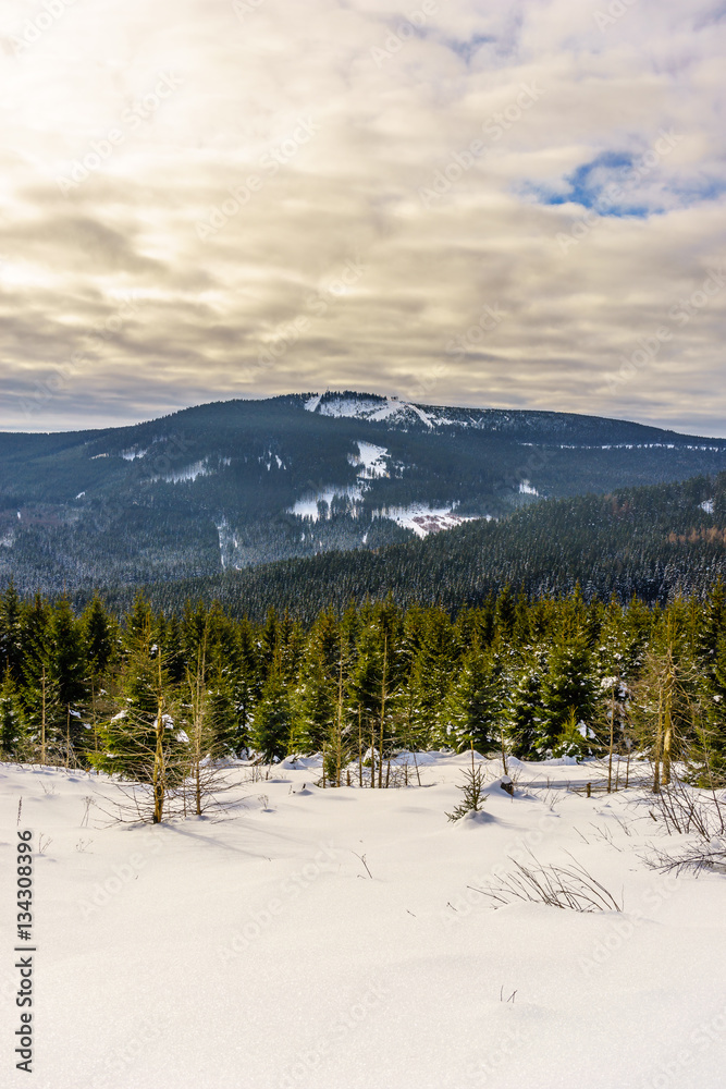 Beautiful winter landscape with a mountain in the background