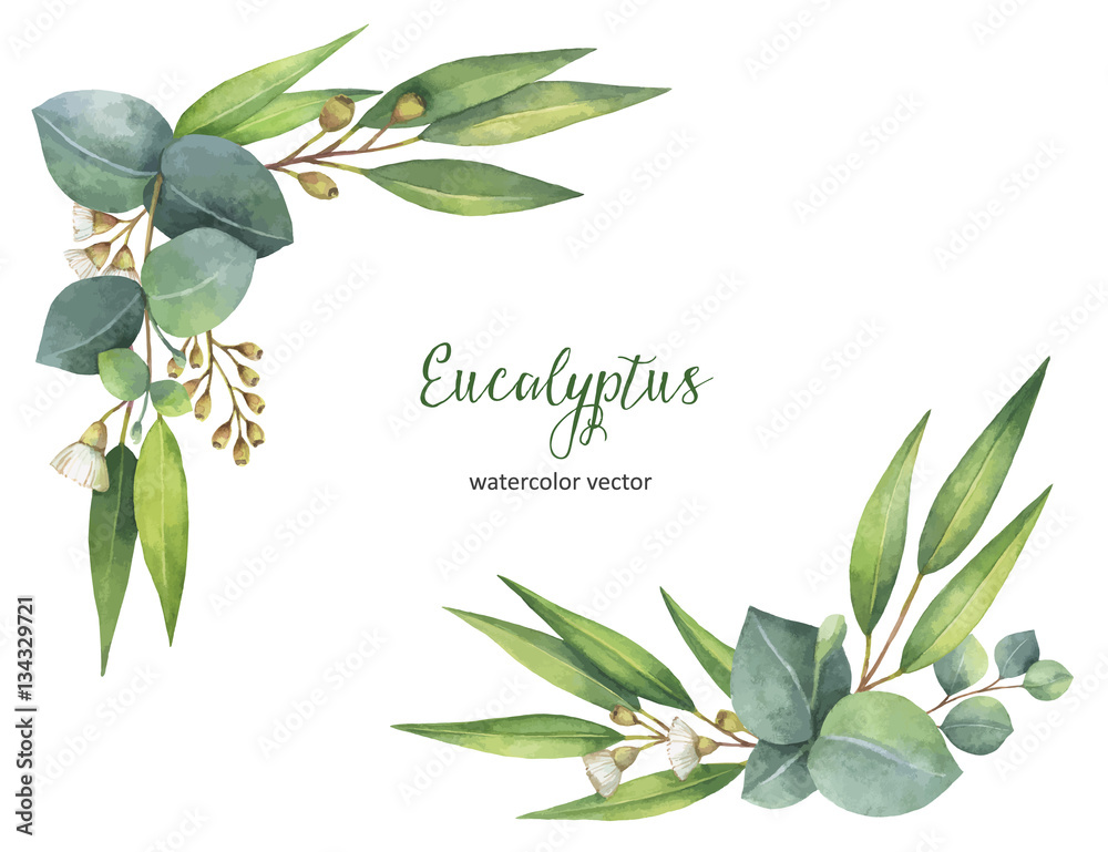 Watercolor vector wreath with green eucalyptus leaves and branches.