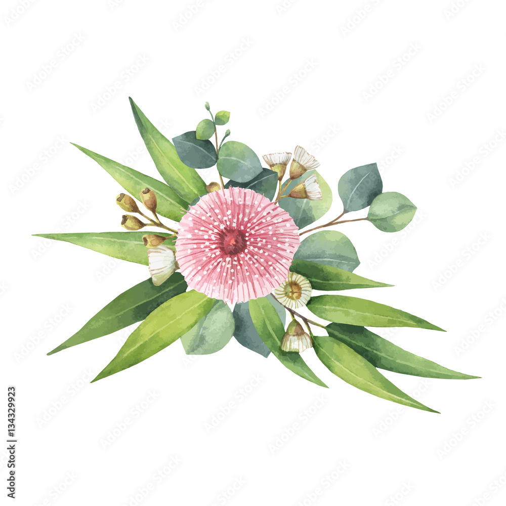 Watercolor vector bouquet with green eucalyptus leaves and branches.