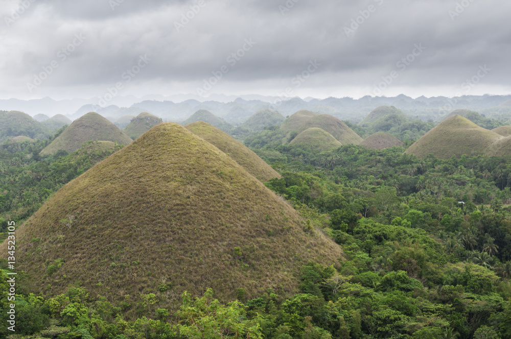 Die Schokoladenberge, Chocolate Hills / Die Schokoladenberge, Chocolate Hills auf der Insel Bohol, V