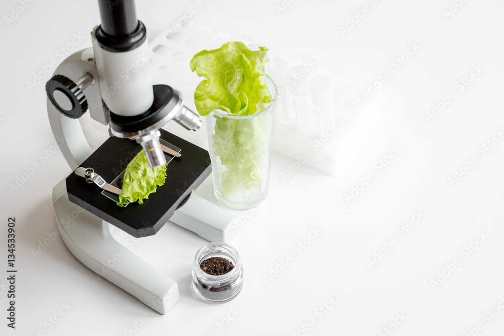 concept healthy food inspection herbs in laboratory