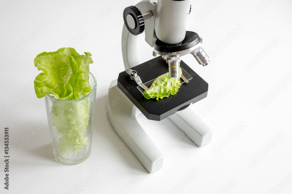 concept healthy food inspection herbs in laboratory