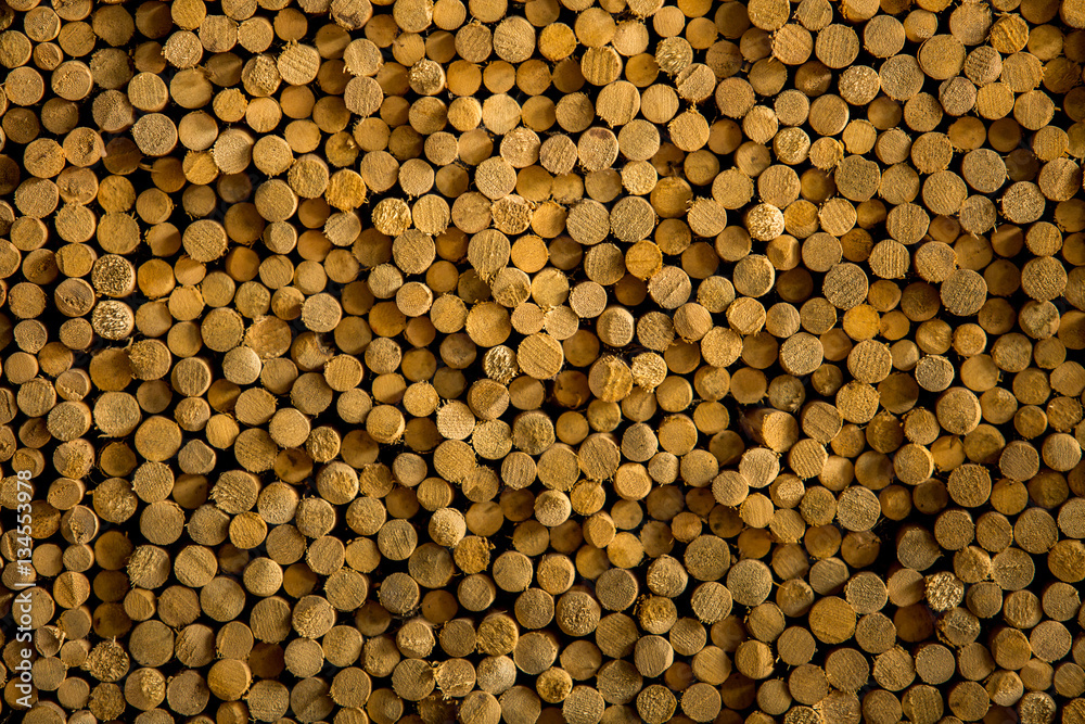 Pile of wood logs storage for industry