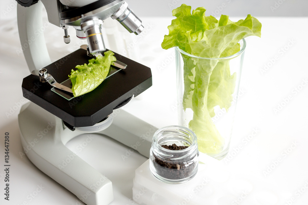 concept healthy food inspection herbs in laboratory