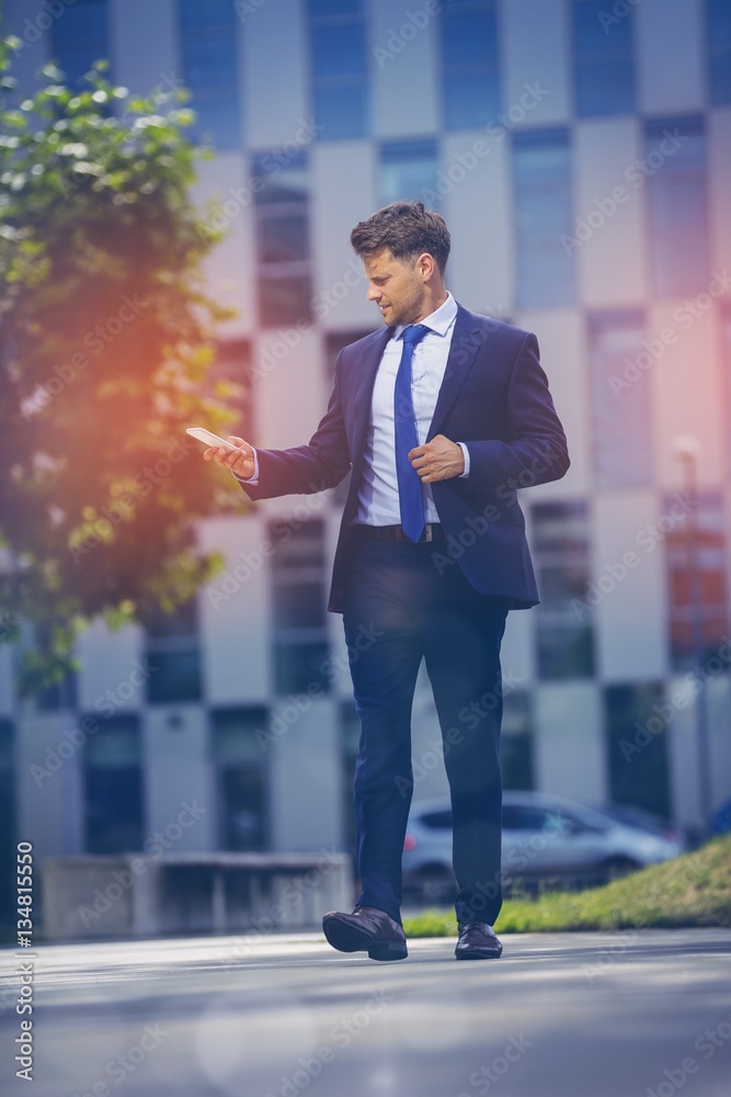 Handsome business executive using mobile phone