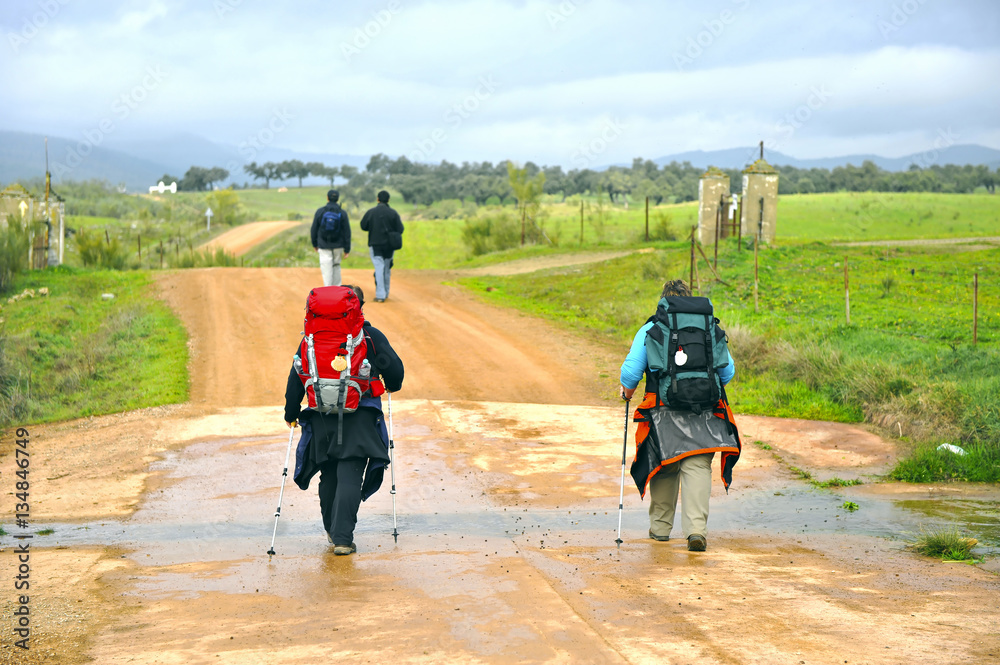 Pilgrims and hikers on the Camino de Santiago, Spain