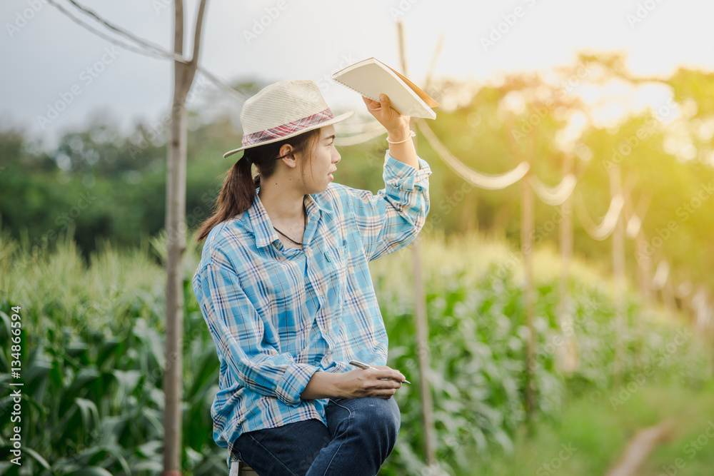 Happy farmer woman looking in the field corn plants during a sunny summer day, agriculture and food 