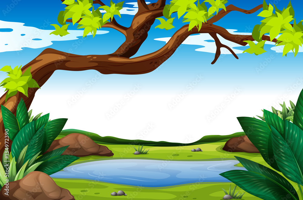 Nature scene with tree and pond