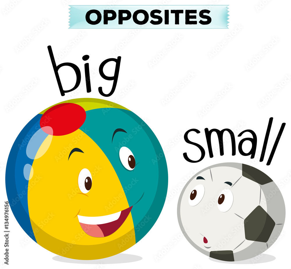 Opposite words for big and small