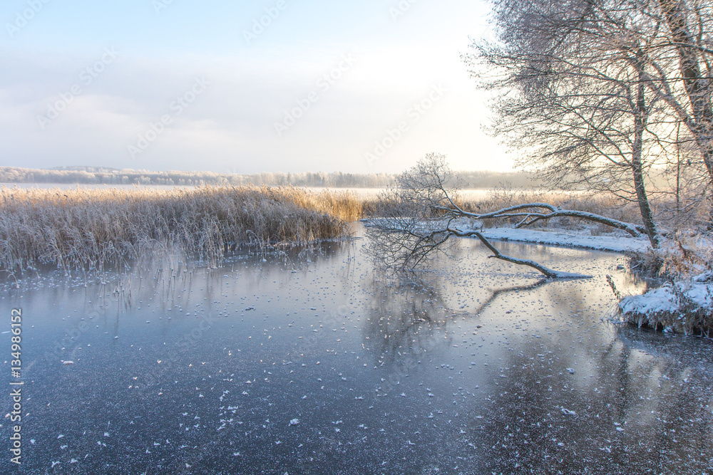 Cold winter morning sunrise lighting up frozen nature in Estonia.