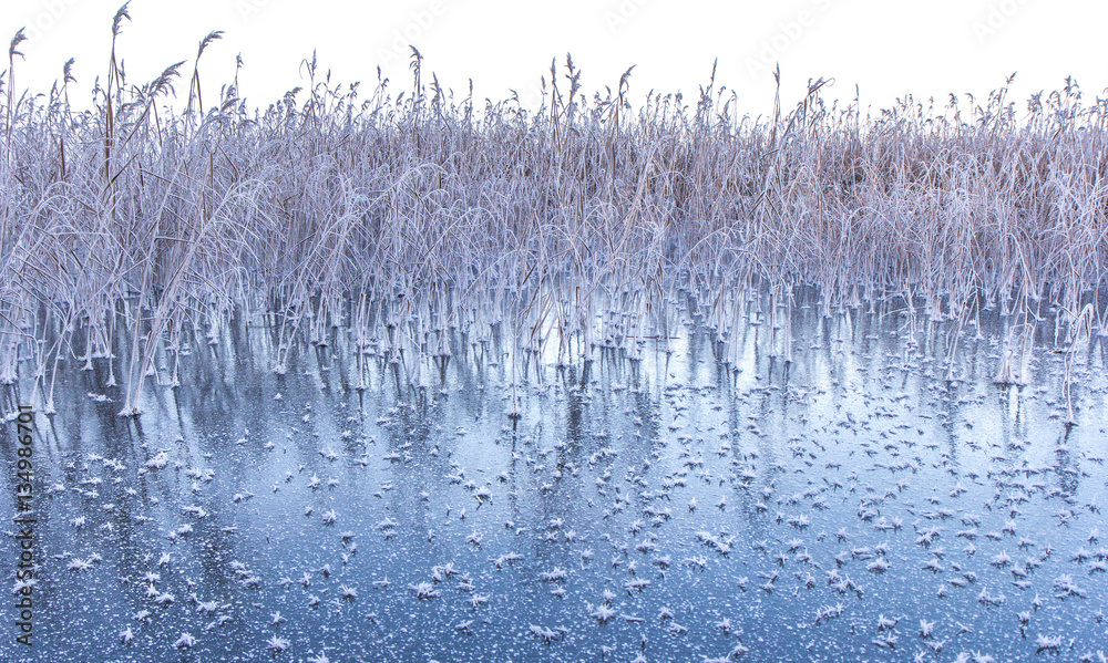 Cold winter morning sunrise lighting up frozen nature in Estonia.