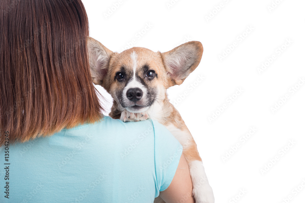 Young asian woman with a little puppy isolated over a white back