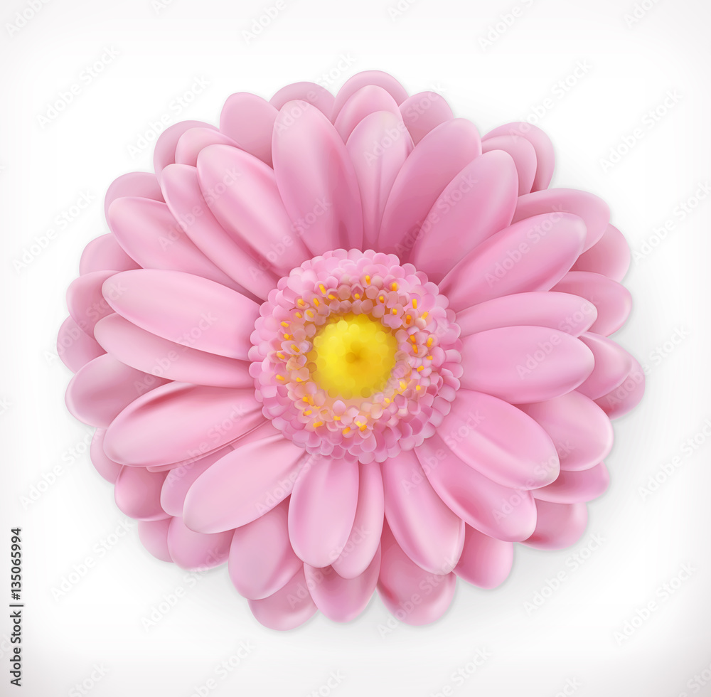 Spring pink flower, 3d vector icon