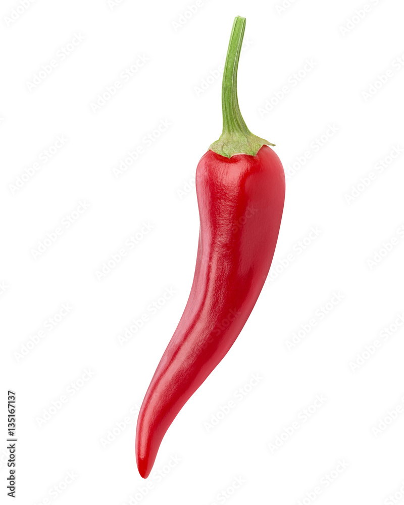 chili pepper isolated