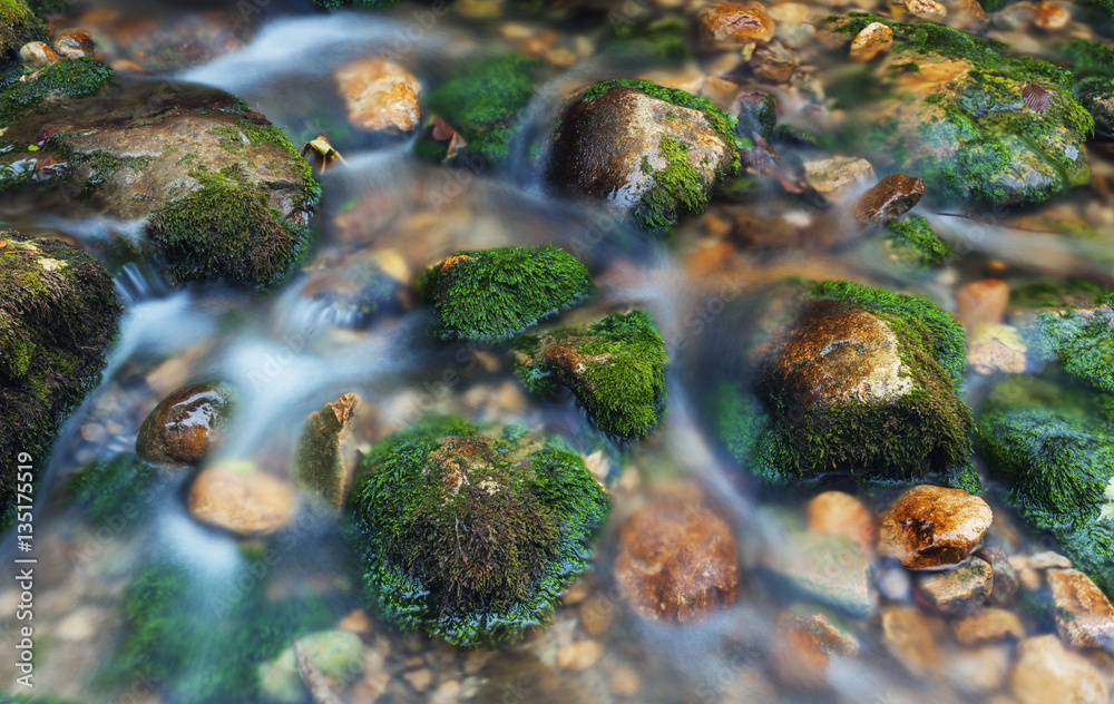 Colorful stones with green moss in mountain river. Blurred water. Nature background. Autumn. Vintage