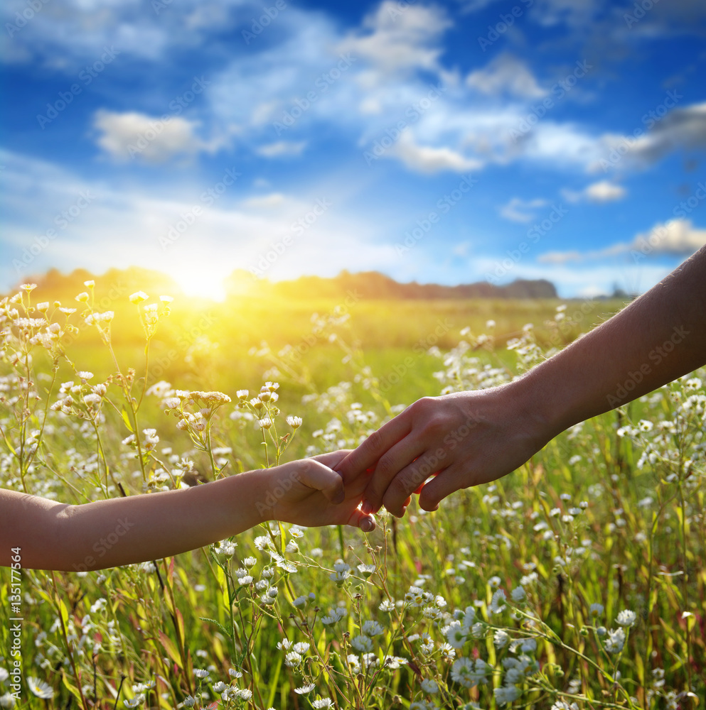 Hands of holding each other in field