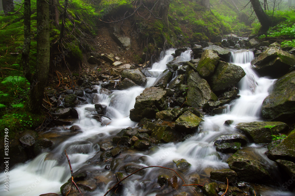 River in the woods