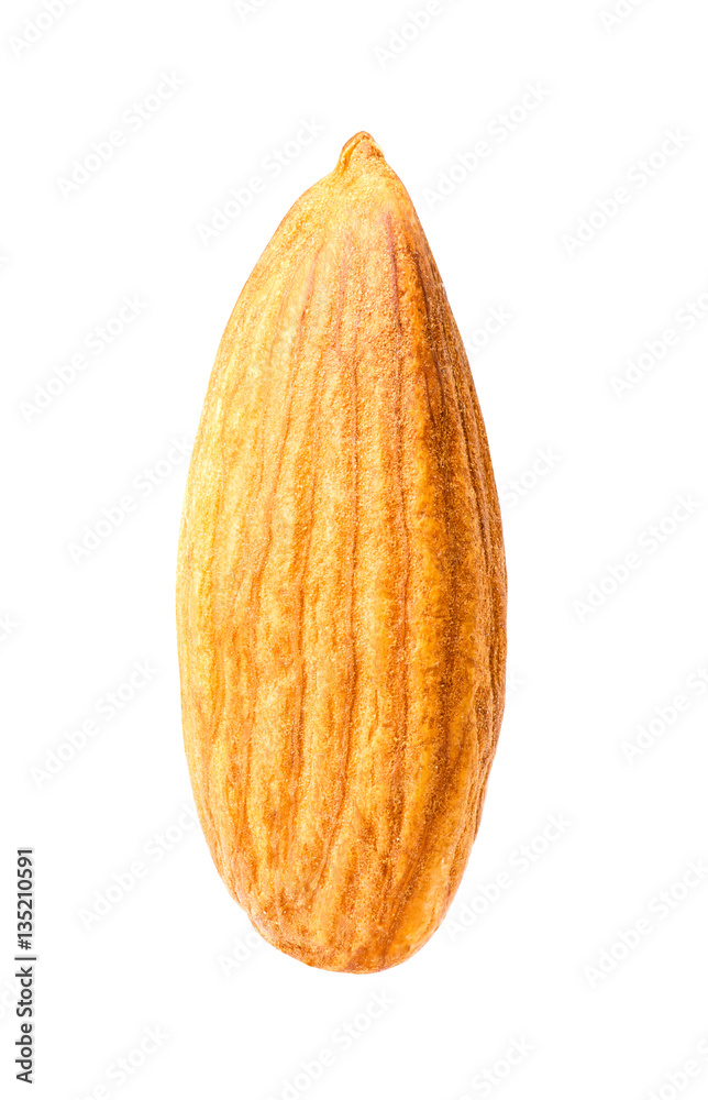 Almond isolated on a white background with clipping path. Macro.