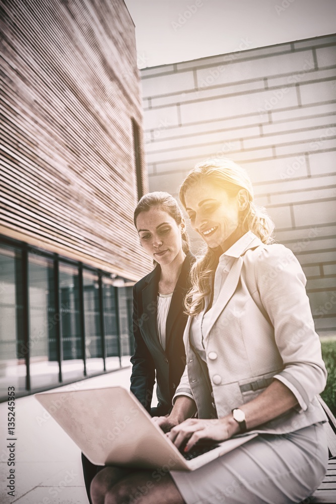 Businesswomen sitting and using laptop