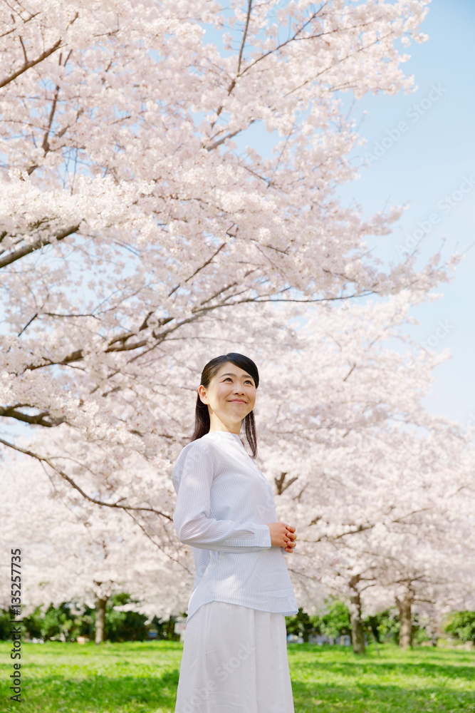 女性　桜