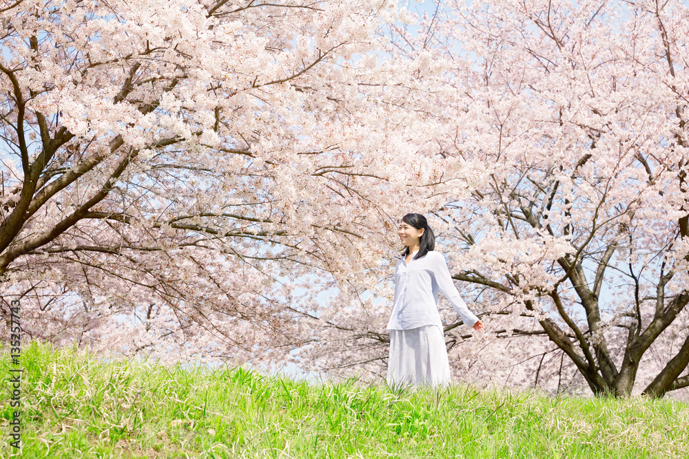 女性　桜