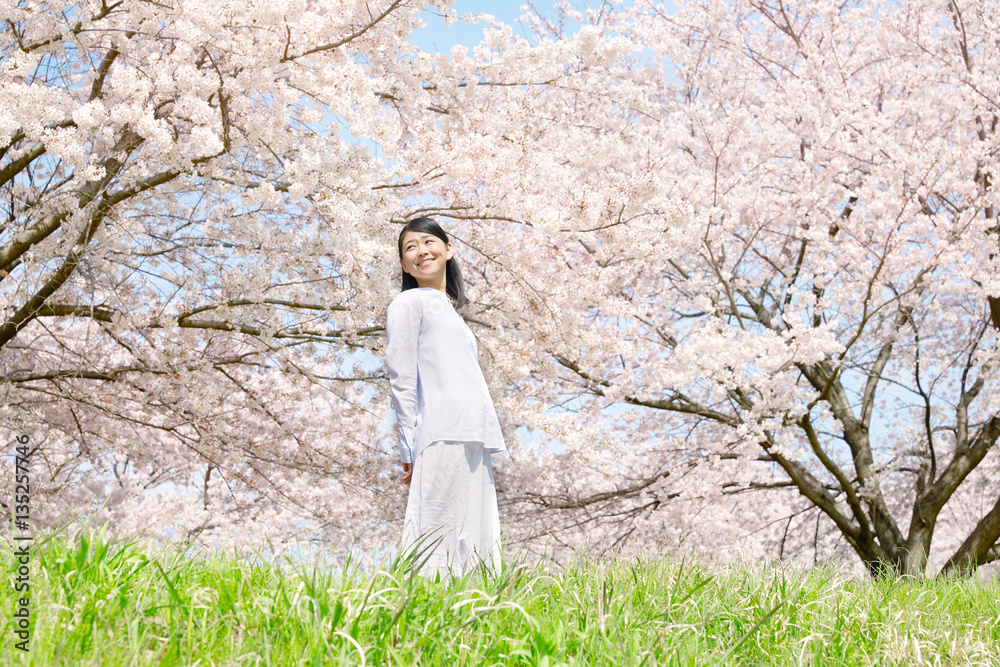 女性　桜