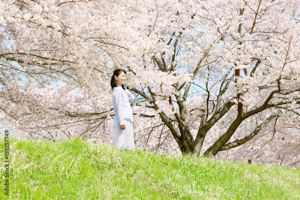 女性　桜