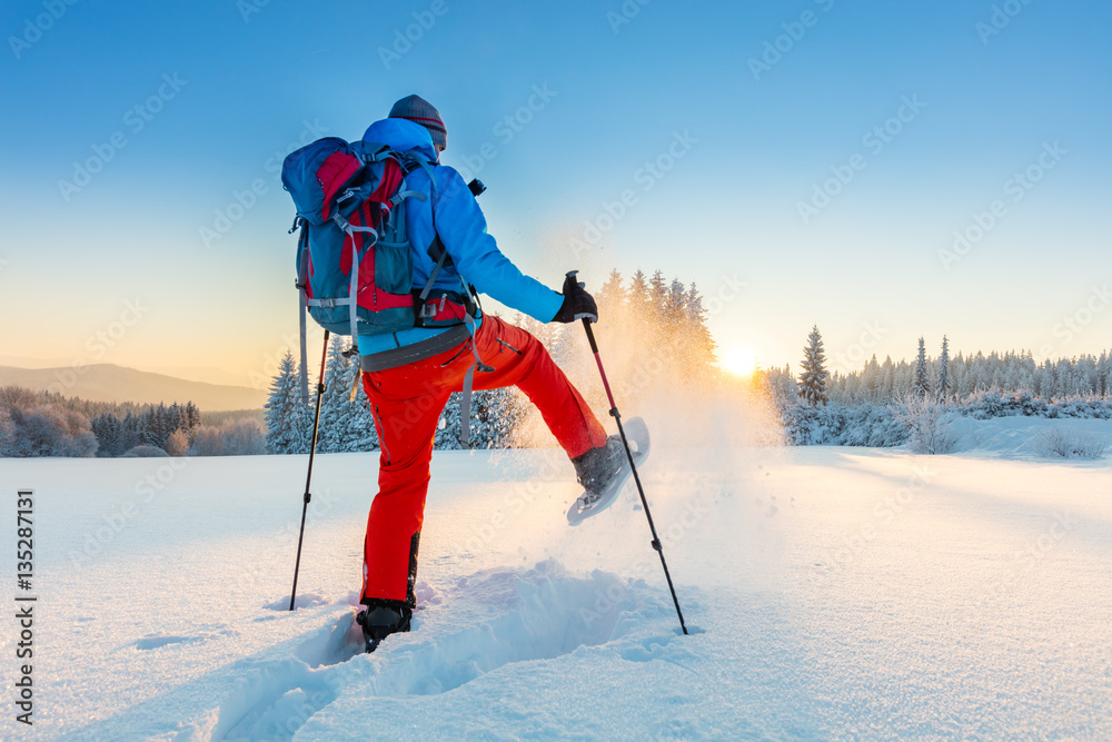 雪地助行器在粉雪中奔跑