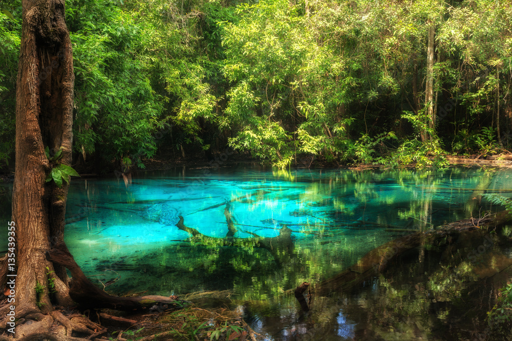 Blue pool at Emerald Pool is unseen pool in Krabi, Thailand.