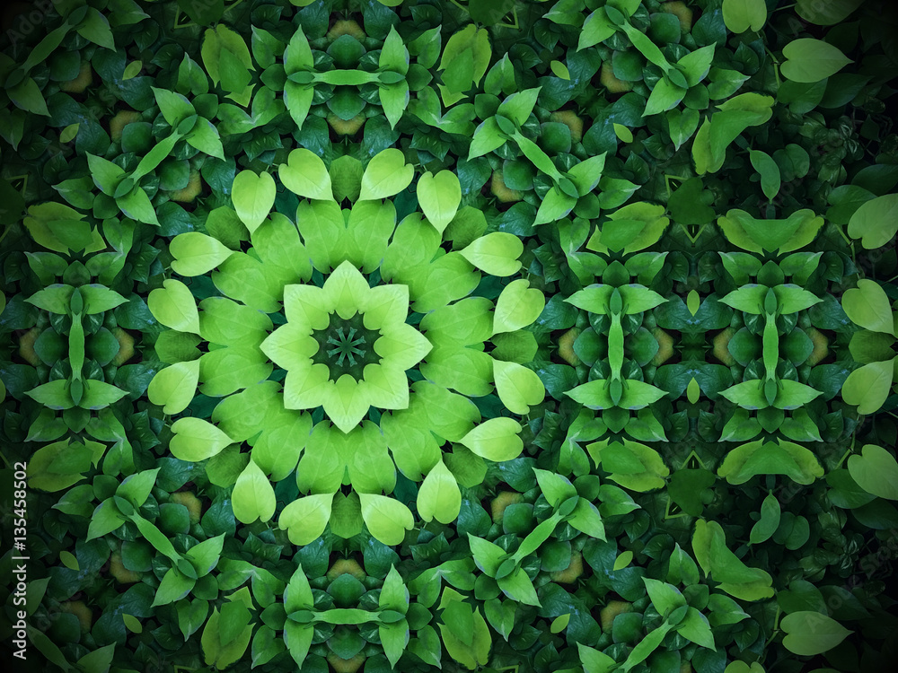 Abstract greenery background, heart shaped green leaves with kaleidoscope effect