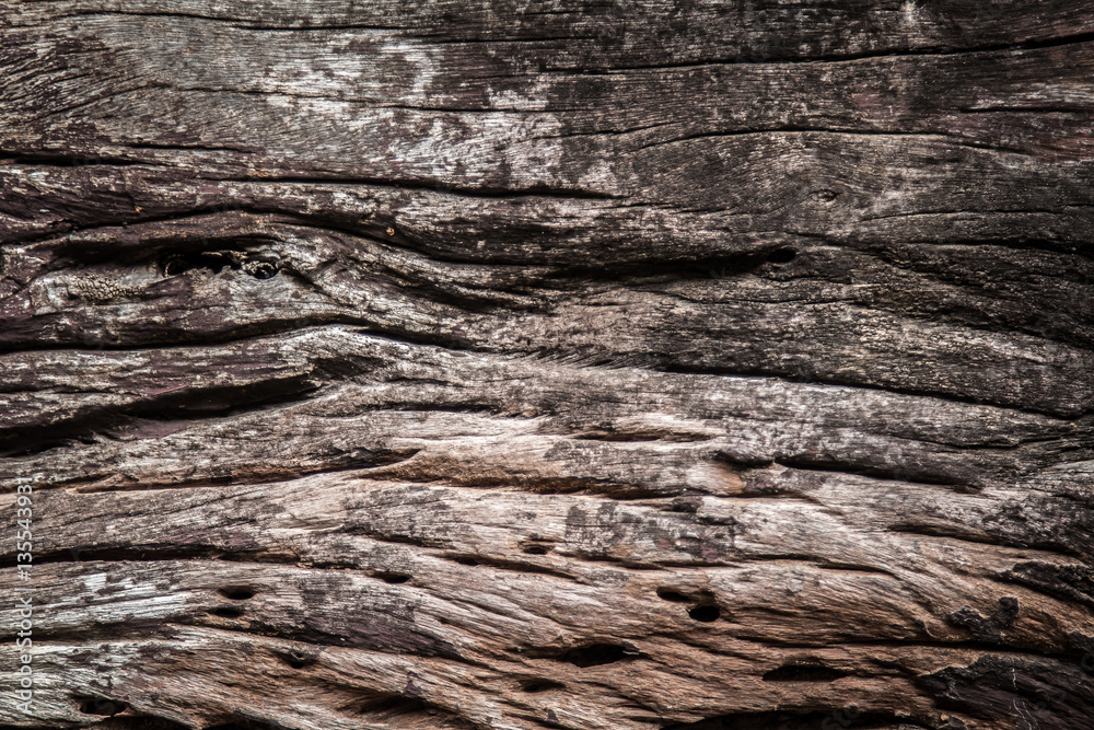 Old wood texture