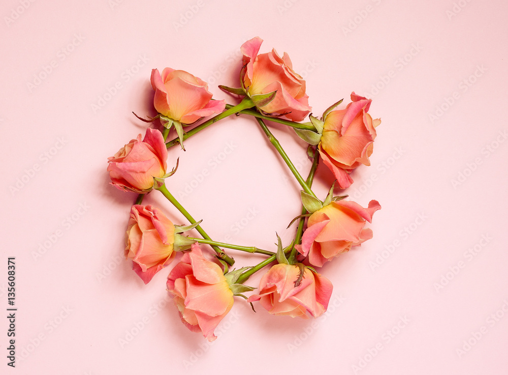 pink roses on pink background