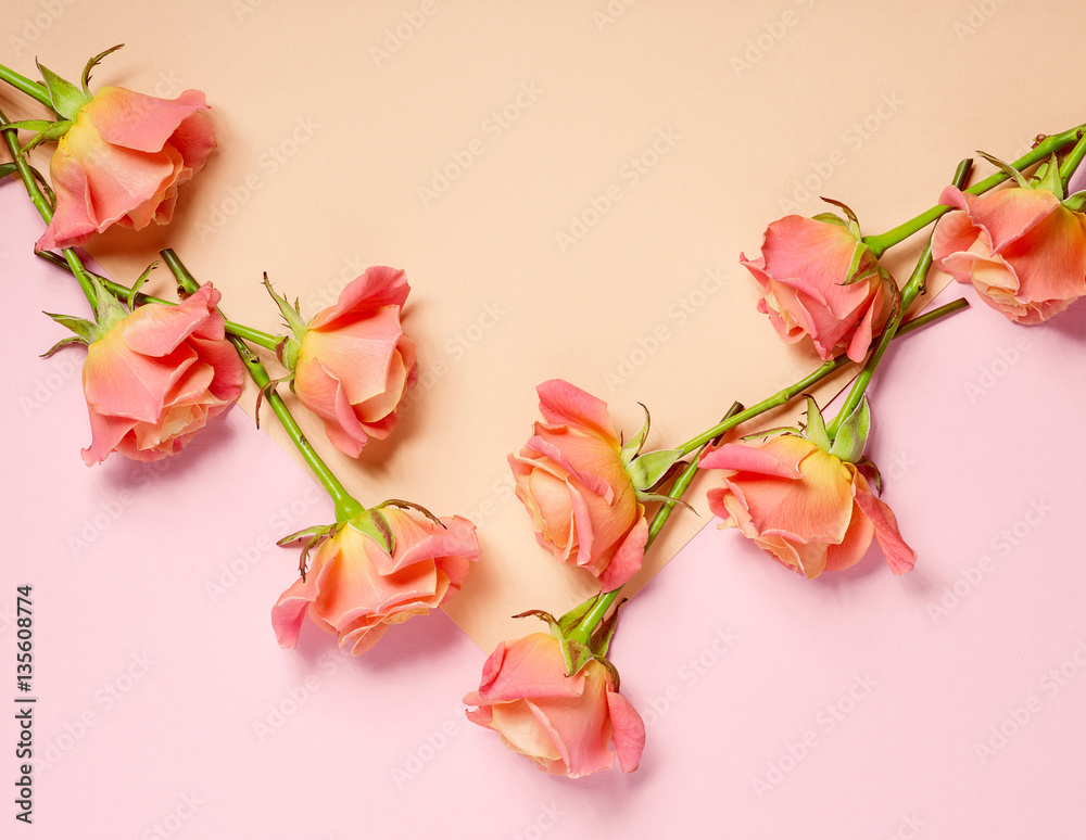 pink roses on colorful paper background