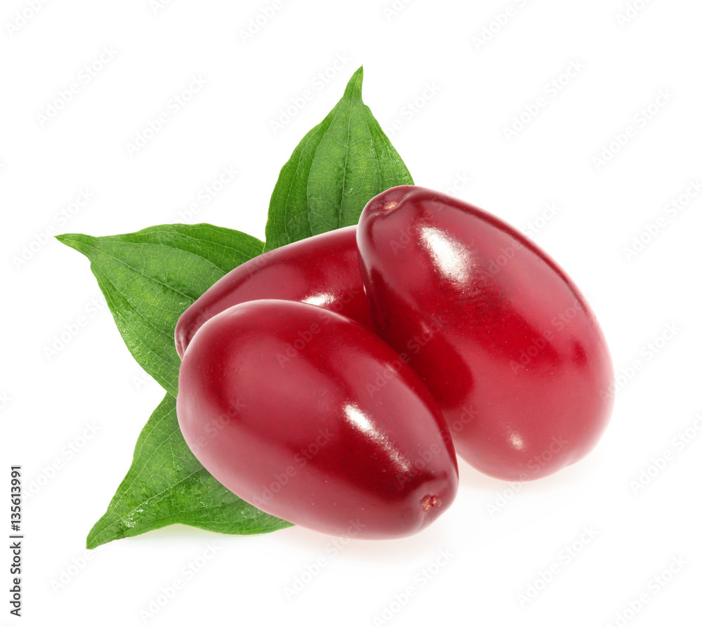 Red berries of cornel or dogwood isolated