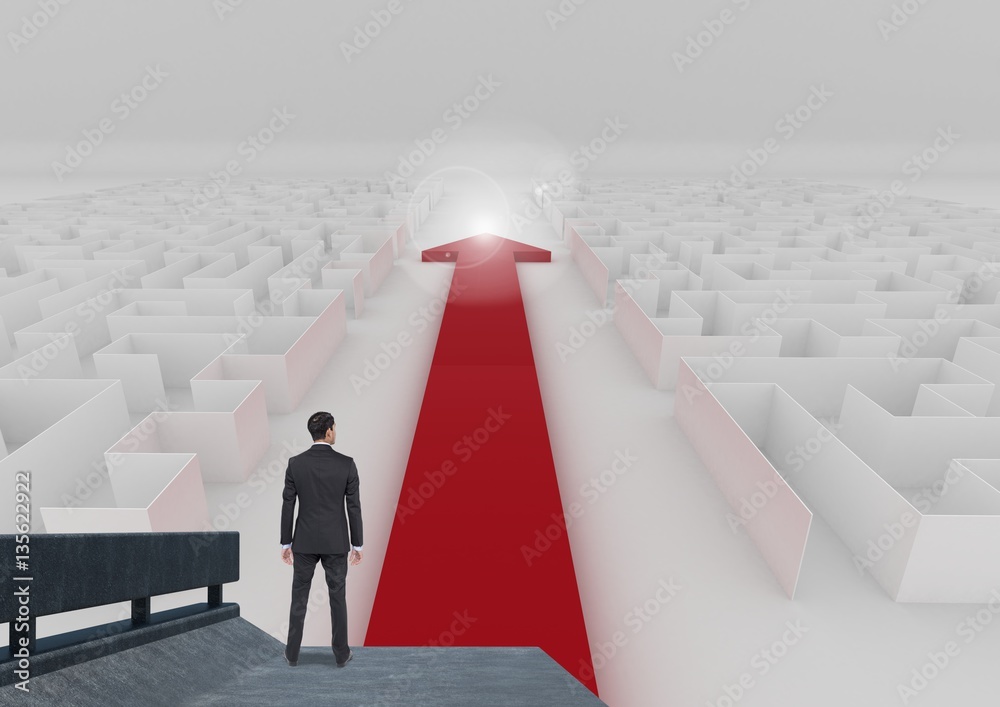 Rear view of businessman looking at maze