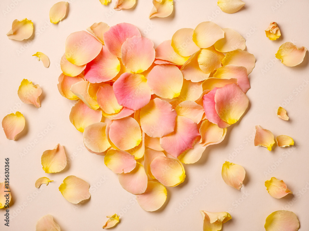 pink rose petals on beige paper background