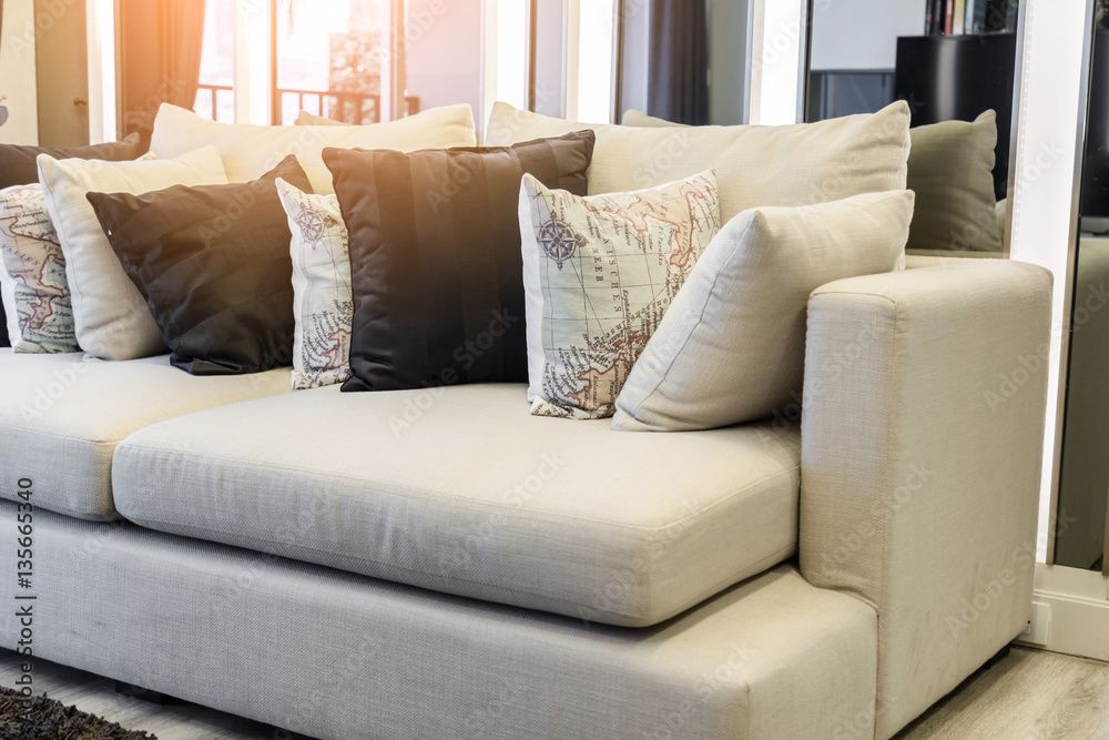 contemporary interior of Living room with part of sofa in sunny