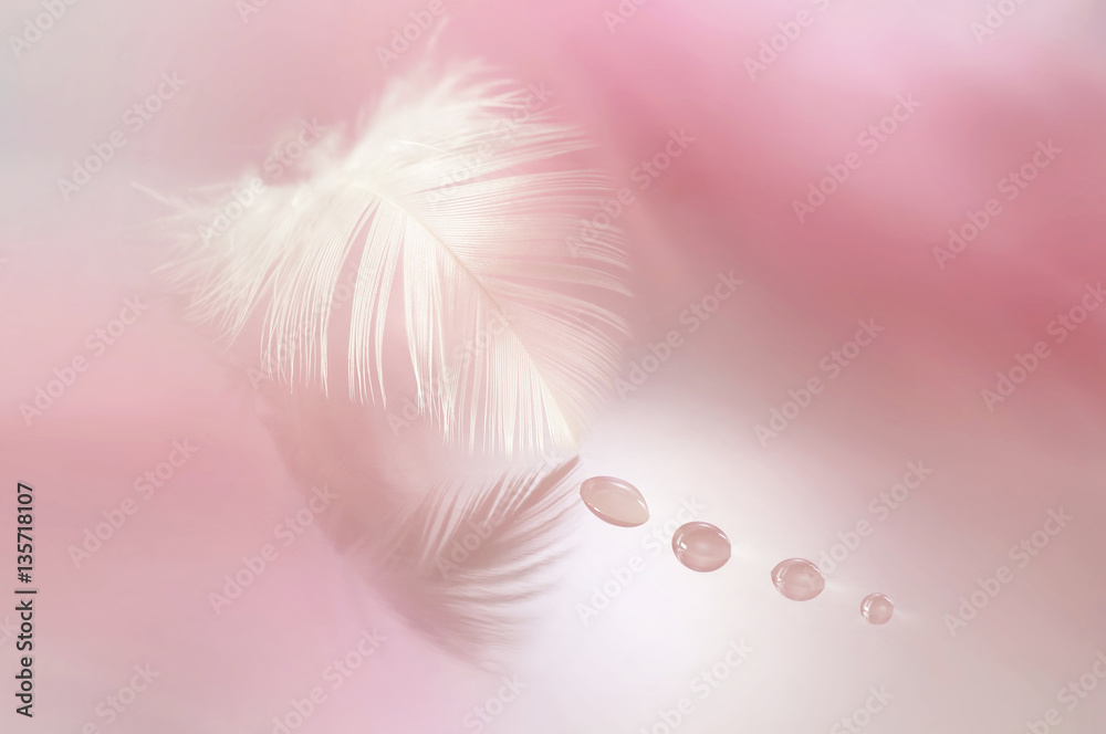 Beautiful white feather with drops on a blurred background of pink.