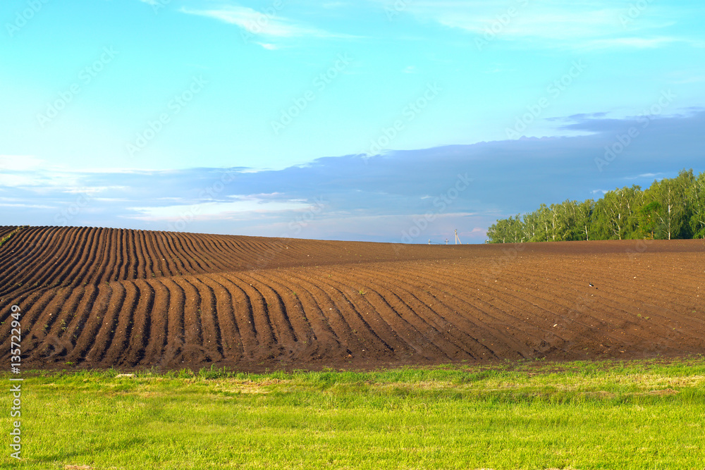 Furrows a plowed field prepared for planting crops in spring. Horizontal view landscape with clouds 