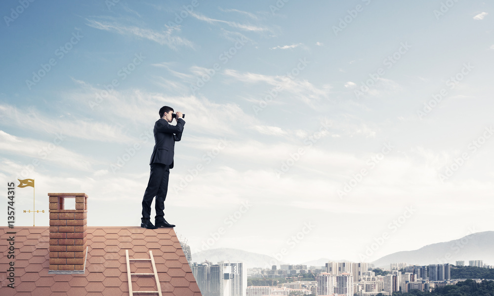 Mister boss on brick roof in search of something new. Mixed medi