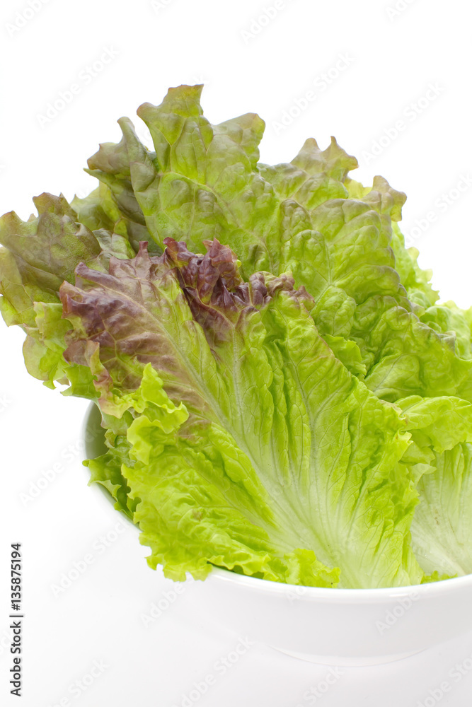 Fresh green lettuce leaf isolated on a white background